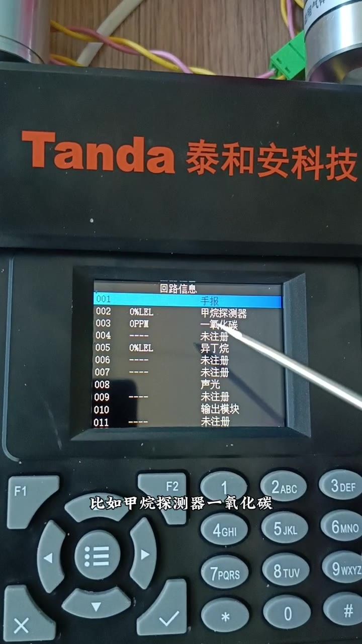 探测器类型选择（甲烷/一氧化碳/异丁烷/丙烷）